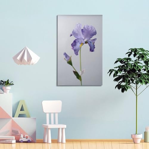 Poster iris violet moderne 50 x 75 cm décoration murale fleur