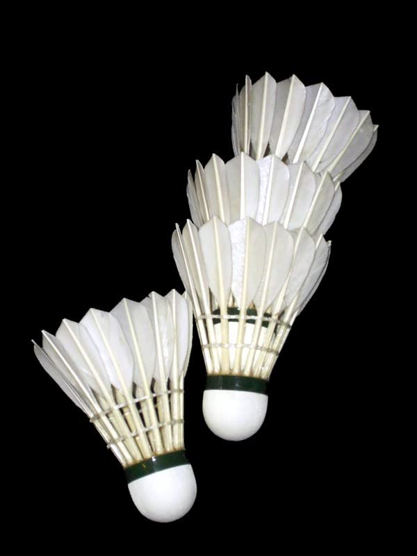 PlantaZee Plastic Badminton Shuttlecocks for Indoor Outdoor Badminton Sports - Color White - Speed Medium - Pack of 20 Shuttle Cork-image-29