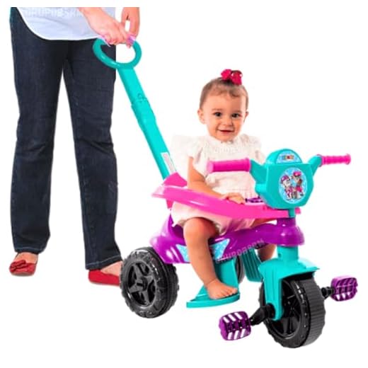 Carrinho de passeio infantil andador bebe didatico de empurrar com pedal haste proteção removivel totoka motoca menina menino velocipede triciclo brinquedo de atividades (Roxo)
