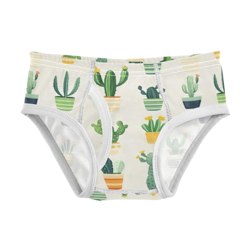 Cactus Toddler Boy's Underwear 2T 202c0085