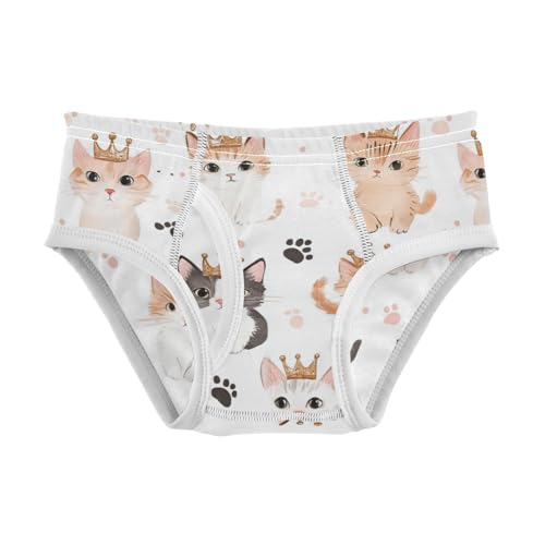 Wusikd Cats Boys' Underwear Cotton Crown Paws Boys Briefs Soft Toddler Underwear 2T