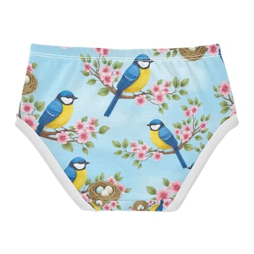 Underwear Girls, Blue Yellow Birds Toddler Panties, Girls Underwear Cotton, 2T–8 Years2