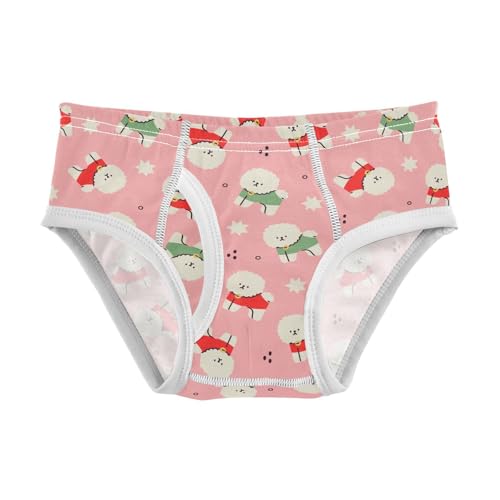 Cotton Little Boys Briefs Soft Bichon Frise Toddler Underwear