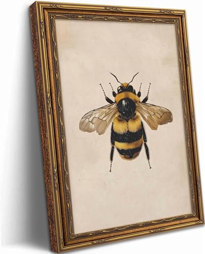 Vintage Gold Framed Bumblebee Sketch Wall Art Classical Bee Canvas