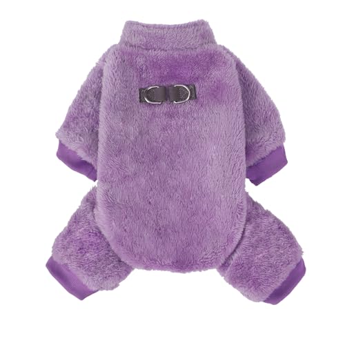 PAWCHIE  t@W[ xxbg pW}Ap~pzA^LAj̎qA̎qAybgWvX[cA񂿂ApAp[vAS