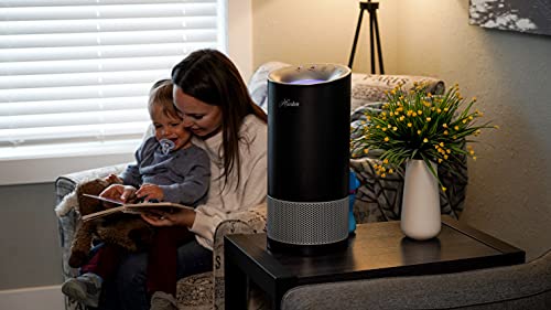 Hp450Uv True Hepa Air Purifier With Uvc Light Technology In Graphite #TOP6