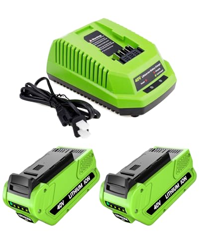 Hastia 40V 6000mAh Lithium-Ion Battery and Charger Replacement for Greenworks 40V Battery 6.0Ah and Charger Compatible with Greenworks 40 Volt Tools