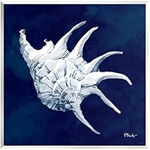 Stupell Industries Cyanotype Shells Traditional Conch Wood Wall Art, Design by Paul Brent