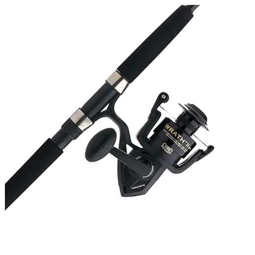 PENN Wrath II Fishing Rod and Reel Combo