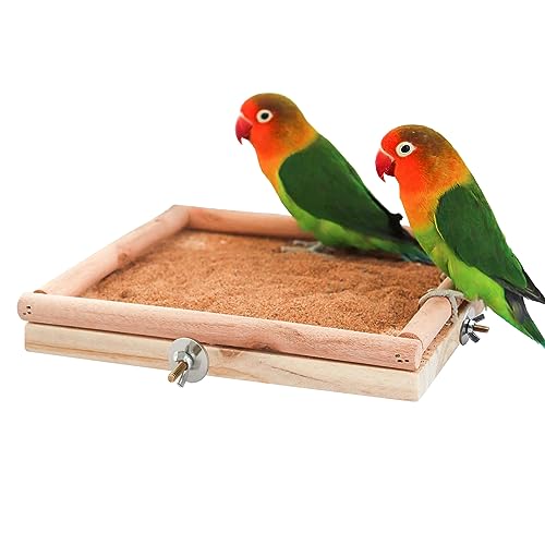 Piattaforma Appollaiatoio per Uccelli in Legno Naturale - Accessorio per Gabbie con Palo per Arrampicata e Pulizia Artigli - Ideale per Pappagalli, Pappagallini, Inseparabili, Ratti - 20 x 20 cm