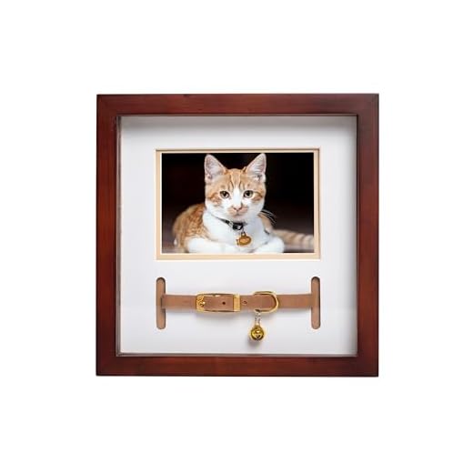 Pearhead Pawprint Keepsake, Madera y Clase estándar, Marco de Recuerdo para Collar de Mascotas