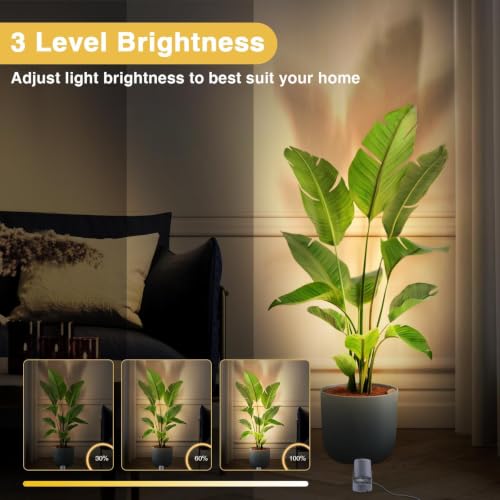 Image of URTOM 4 Pack 6W RGBW Uplighting Indoor Color Changing Up Lights Indoor with Remote Dimmable LED Christmas Spot Lights for Home Aluminum Accent Lighting for Party Plant Decor with 5.9 FT Plug Cord