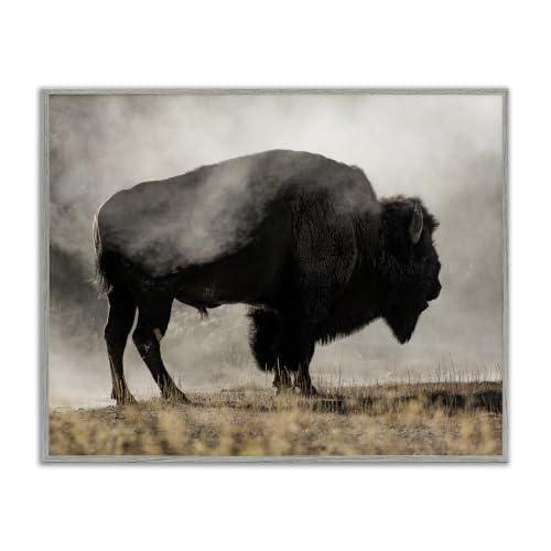 Powerful Bison Foggy Rural Pasture, 11 x 14 Inch Framed Giclée Print