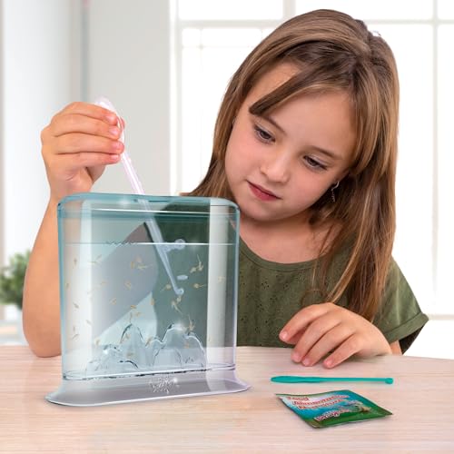 Aqua Dragon Underwater World Aquatic Pets, STEM-Lernspielzeugset, lebende Haustiere ausbrüten und wachsen Lassen, Eier, Futter, Löffel, Lupe, für Kinder ab 6 Jahren, 17 x 6 x 18 cm