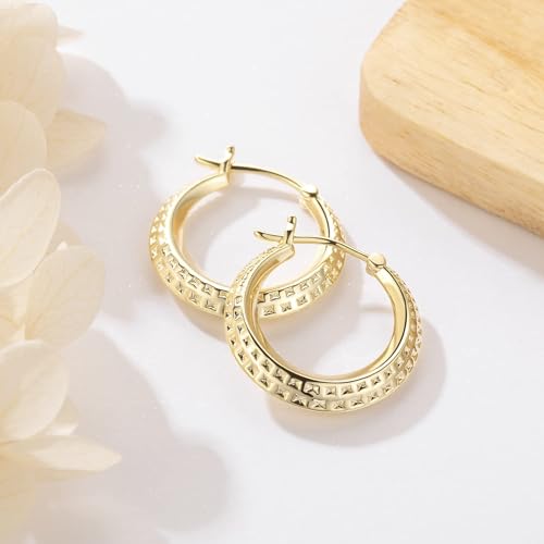 14K Gold Earrings for Women Chunky Hoop Earrings 14K Gold, Lightweight & Small Hoop Earirng for Women with Hinged Clasp 20MM4