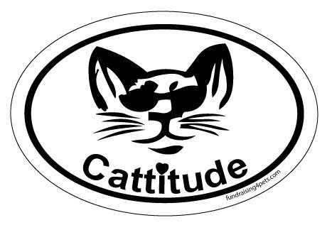 Imán Ovalado Cattitude miniatura 1