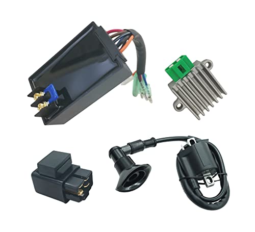 DABAZUALY CDI Box Module Polaris