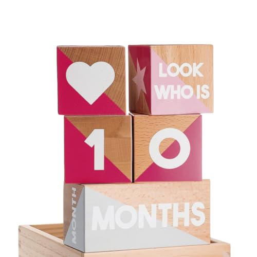 Image of Tykeroo Baby Monthly Milestone Blocks — Cute Nursery Decor — Lovely Newborn Photography Props — Baby Shower Gifts (Pink & Gray)