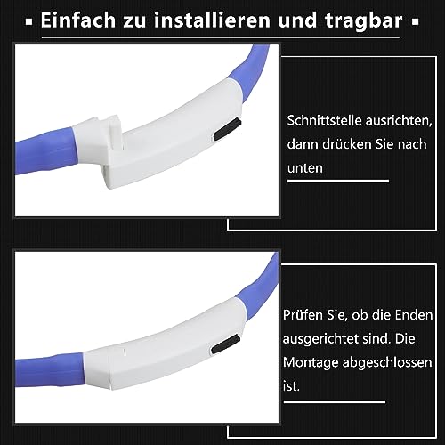 Hunde Leuchthalsband Zacro im Doppelpack mit LED Beleuchtung