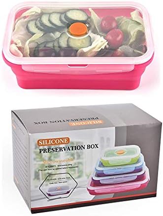 Silicone Lunch Box, Collapsible Folding Food Storage Container with BPA Free Lids, Kitchen Microwave Freezer and Dishwasher Safe Kids Lunch Boxes (4 Pack)