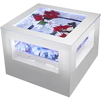 バーズアイ水槽 水槽 テーブル 大型140cm LED リモコン 色変更可能 バーズアイ水槽 水槽 テーブル 大型140cm LED リモコン 色変更可能