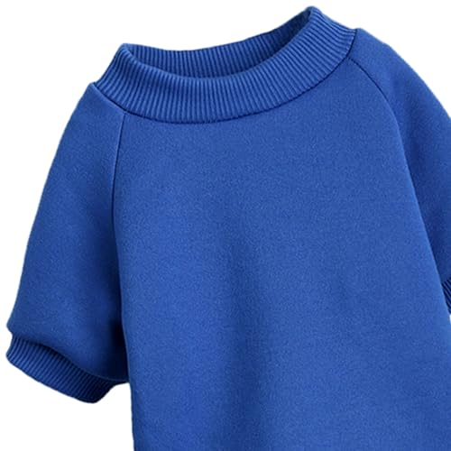 Image of Soft Puppy Sweater for Small Dogs Winter Knit Pullover, Blue XL | Elastic Cuffs Pet Clothes, Holiday Party Matching, Fall Winter Daily Outfit, Soft Breathable Machine Washable Sweatshirt