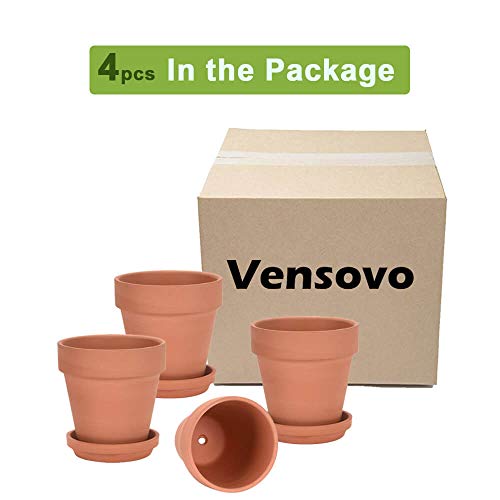 6 Inch Clay Plant Pots with Saucers, 4 Pack - Image 7