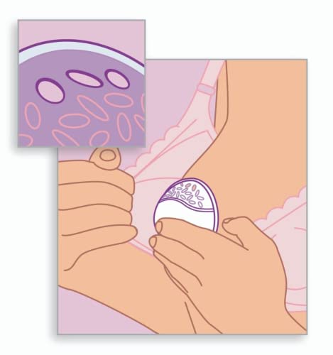 PHILIPS Concha Para Os Seios Philips Avent Transparente