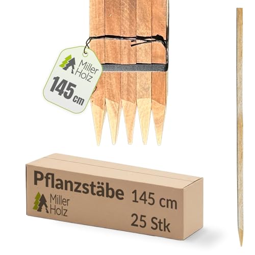 Holzpfähle Holzpflöcke Pflanzstäbe quadratisch mit vierkant Spitze 25 Stück | Eukalyptus | Holzpfähle für Markierungen | Rankstab für Pflanzen, Holzpfosten zur Abgrenzung - Stärke 2,2x2,2cm (145)