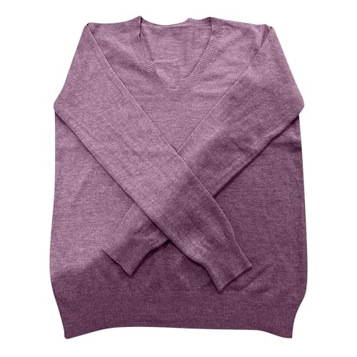 OIOLOYJM Fall Cashmere Sweaters for Women 2025 V Neck Long Sleeve Tops Knitted Pullovers Lightweight Merino Wool Sweater