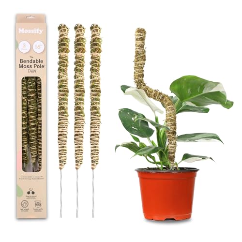 Mossify Bendable Moss Pole for Monstera 3 Pack (16" /