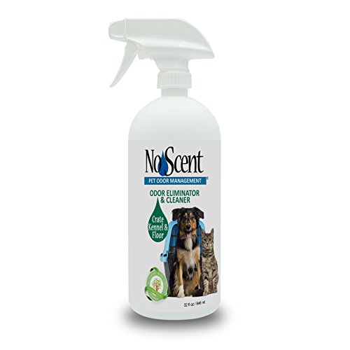 Image of No Scent Crate Kennel & Floor Cleaner for Dog Run, Cat Carrier, Hard Surface Pet Odor & Stain Management (32 Fl Oz / 946 mL)