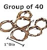 Pack of 40 Mini Grapevine Wreaths - Miniature Natural Dried Vine Twig Rings for Napkin Rings, Tiny Crafts, and DIY Decorations by Factory Direct Craft (1 inch diam) #1
