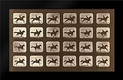 Motion Study: Man Riding A Galloping Horse 24x16 Framed Art Print by Muybridge, Eadweard