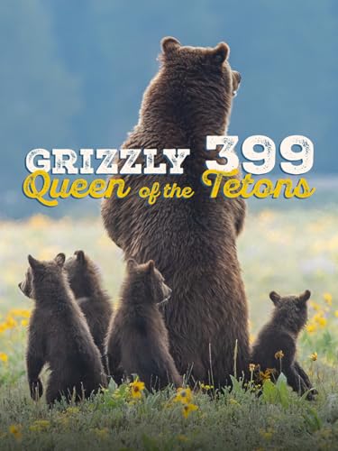 Grizzly 399: Queen of the Tetons
