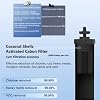 Berkey Gravity Water Filter Replacement, 2 Black Carbon Filters & 2 White Fluoride Filters, Compatible with Berkey Purifiers, Pack of 4