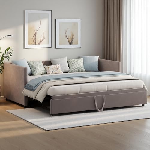 YGHQAP Divano Letto Estraibile 90/180 x 200 cm, Divano Letto Matrimoniale con rete a doghe, Lettos imbottito 2 posti Multifunzione, letto Allungabile in velluto, senza materasso