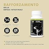 Zoom IMG-1 peticare vermifugo in polvere per Zoom IMG-1 peticare vermifugo in polvere per