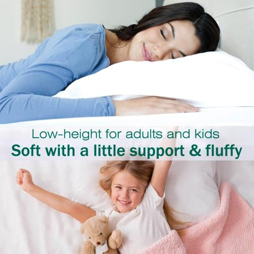 Image of Flat Ultra Thin Bed Pillows Standard /Queen Size Pillow Set of 2 Extra Soft Down Alternative for Stomach Back Sleeping White