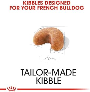 Amazon.co.jp: ロイヤルカナン BHN フレンチブルドック 子犬用 3kg