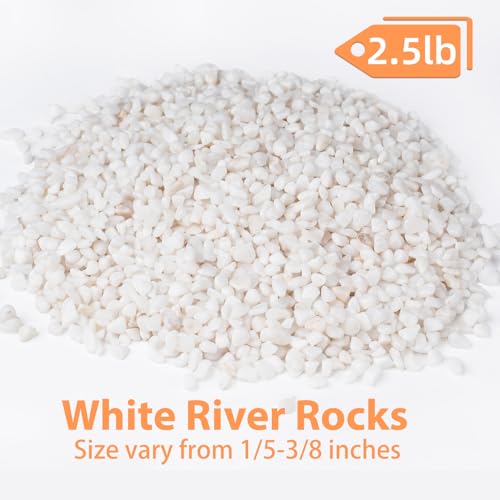 Image of 2.5 lbs White Aquarium Gravel, 1 /5 Inch White Rocks for Plants, Small Pebbles for Vases, Succulents, Bamboo, Natural Decorative Pebbles for Plants Drainage, Cactus, Crafts
