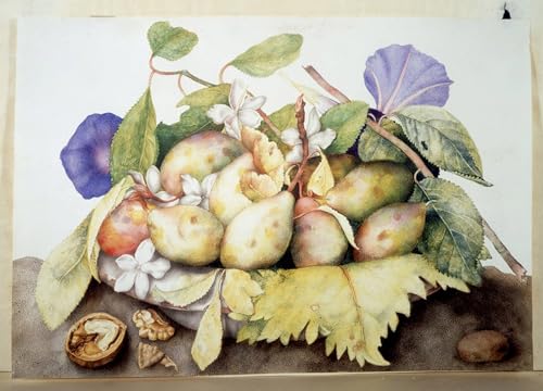 Affiche Giovanna Garzoni peinture sur toile 60x90cm pour salon