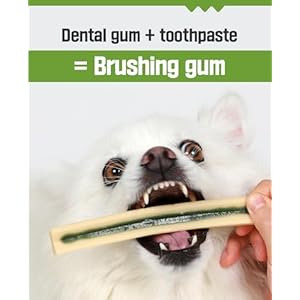 Megachitochew  dog dental chew  dog bully sticks for large dogs and medium dogs 7 sticks 6 inches odor free bully sticks for dogs cleans teeth and control plaque   cucciolini doodles