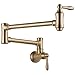 Delta Faucet Traditional Wall-Mount Pot Filler Faucet, Champagne Bronze 1177LF-CZ