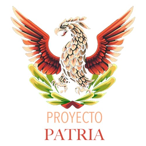 Couverture de Proyecto Patria | RADIO