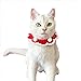 Cat Christmas Costume, Adjustable Knitted Bib Pet Xmas Hat, Cloak, Collar Scarf Puppy Christmas Costume for Cats Small Dogs (S, Red Single Layer)