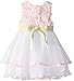 Rare Editions Baby Baby Girls' Soutach To White Mesh Social Dress