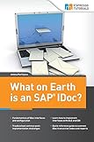 What on Earth is an SAP IDoc?