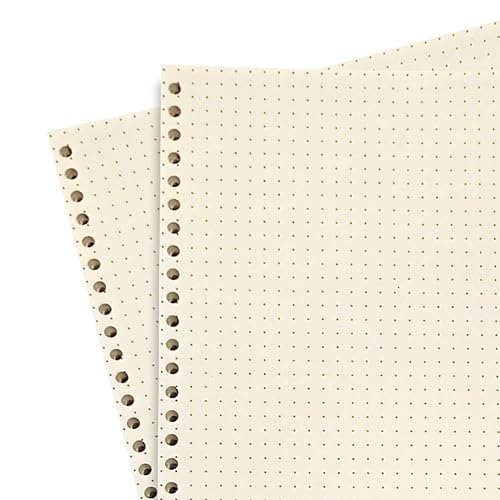 Image of PaperO A5 Punched Loose Leaf Dot Grid Sheet /Paper | 80 GSM | 100 Sheets | (21 x 14.5 cm) | Ideal for Artists & Designers | Suitable for Spiral Binding