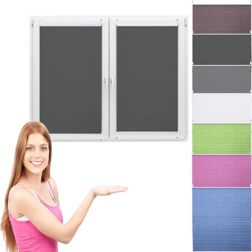 Estor Plisado sin Taladrar 40 x 40 cm Noche y Día, Translúcido y Oscurecido Estor Plisado Protección Solar Estor Doble Klemmfix sin Taladrar para Ventanas, Puertas, Gris Oscuro